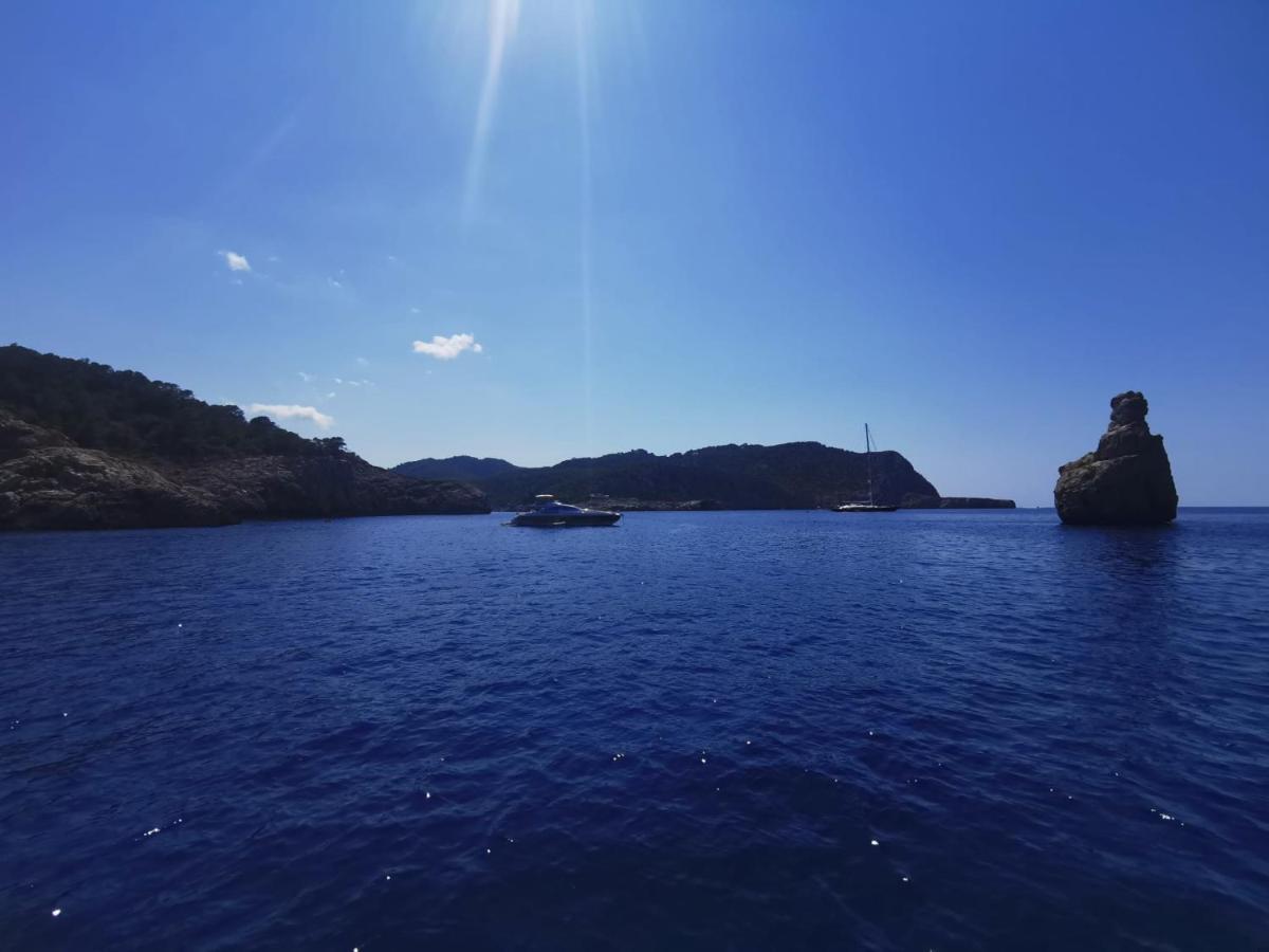 Charmant Appartement De Vacances Au Coeur D'Argeles Dış mekan fotoğraf
