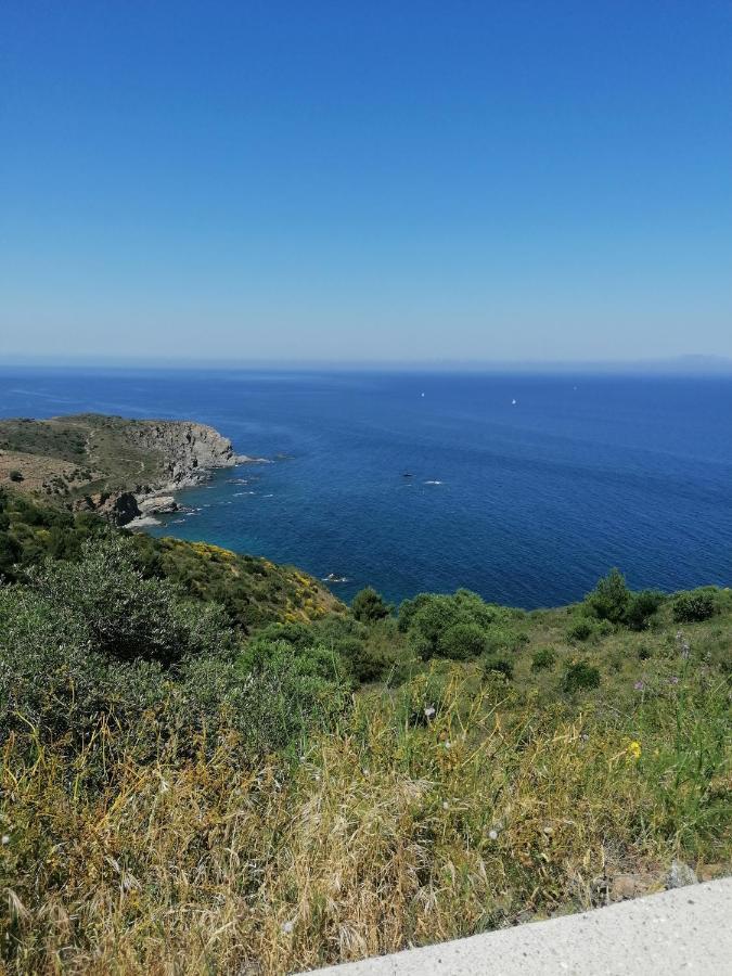 Charmant Appartement De Vacances Au Coeur D'Argeles Dış mekan fotoğraf