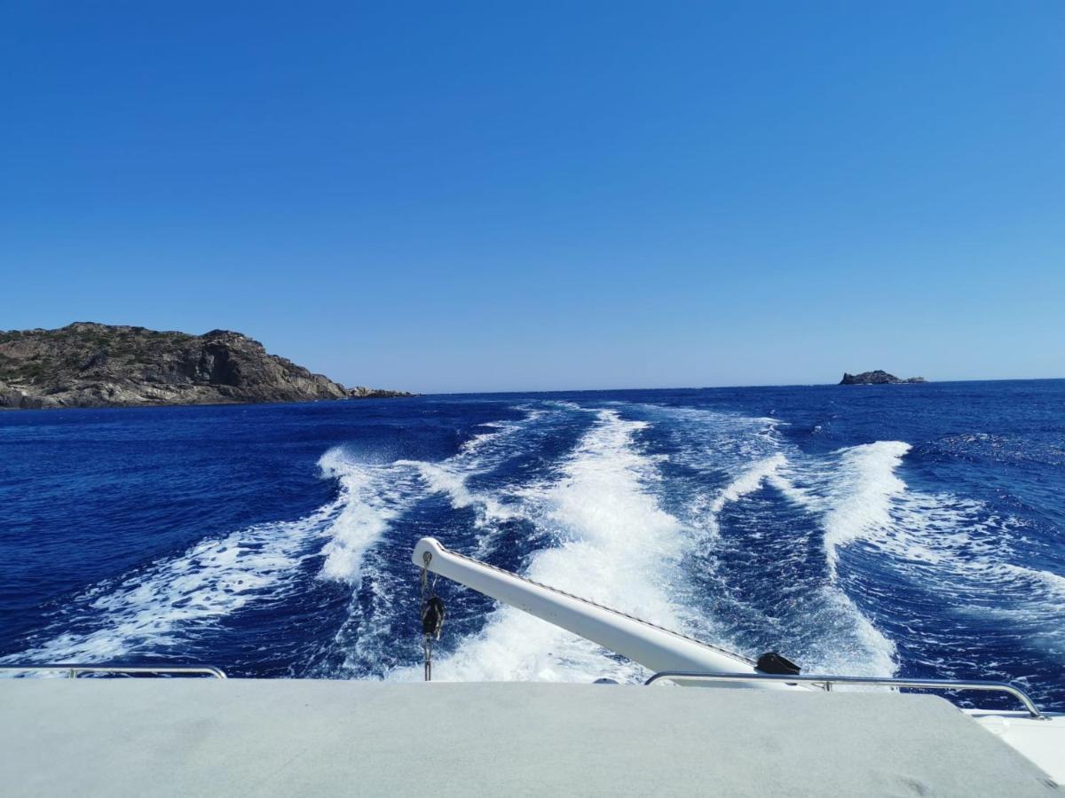 Charmant Appartement De Vacances Au Coeur D'Argeles Dış mekan fotoğraf